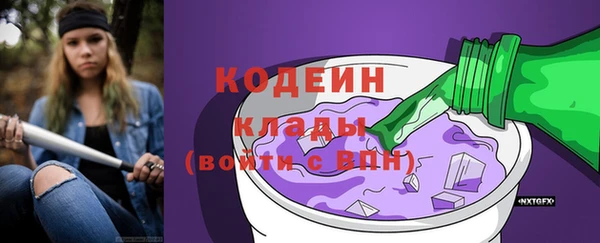 прущие грибы Арсеньев