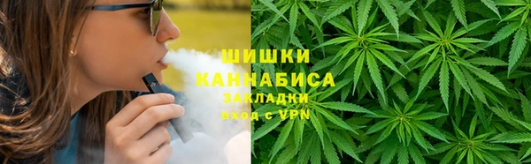 стафф Аркадак