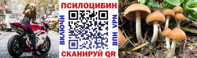 Галлюциногенные грибы мухоморы Ленинск